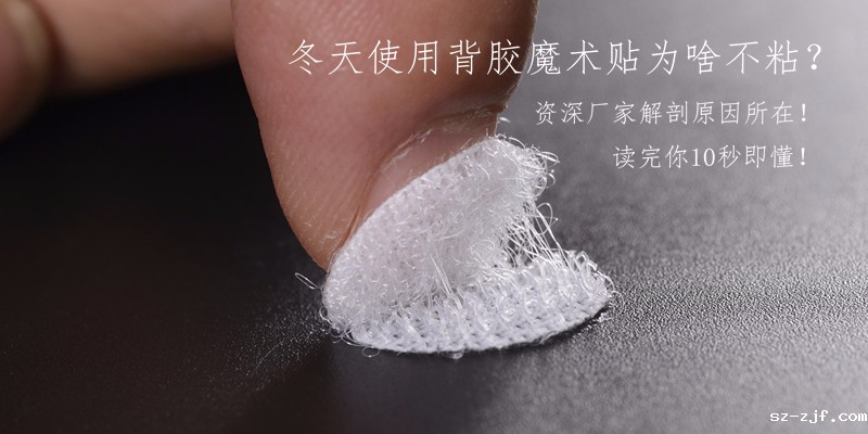 背胶粘扣带市场需求到底哪里最多？